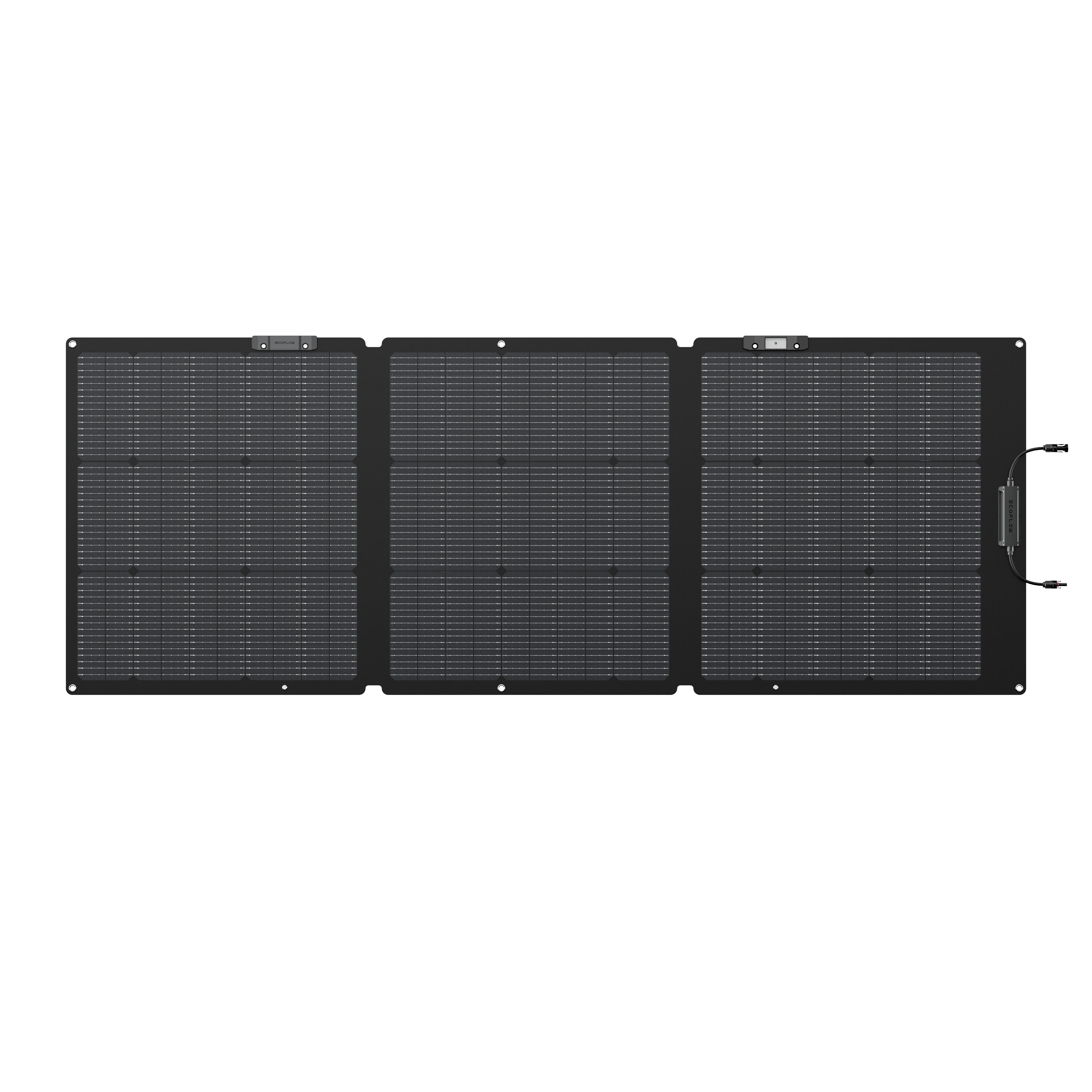 EcoFlow 160W Solar Panel (Recommended Accessory)