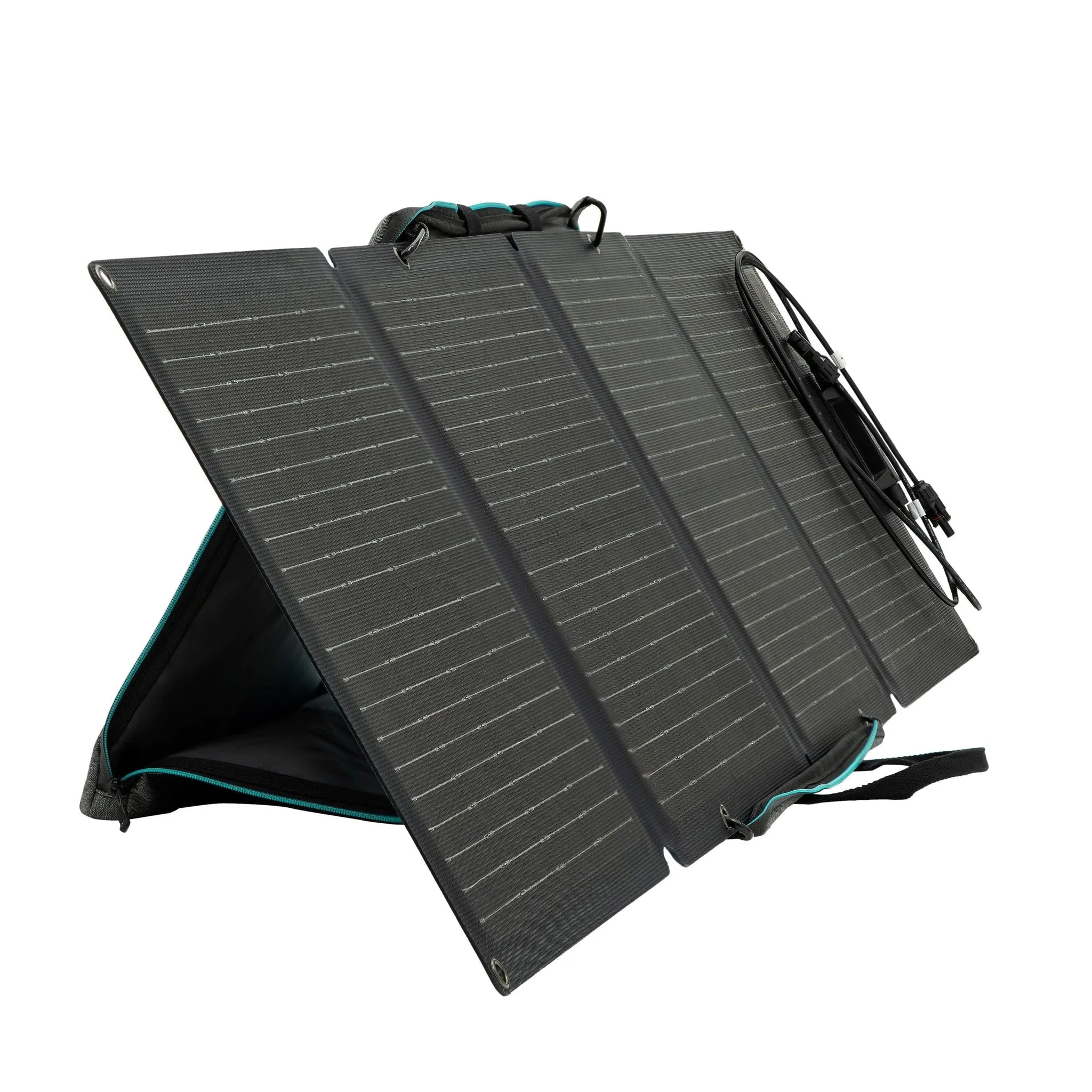 EcoFlow Portable Solar Panel | 110 Watts