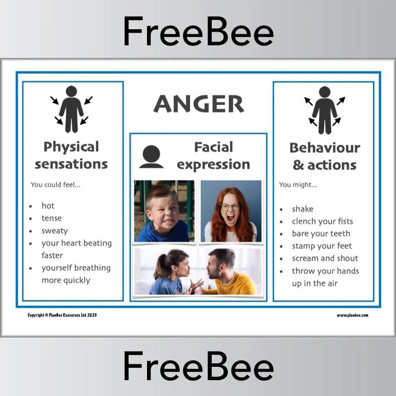 Recognising Emotions Posters